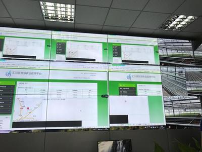 世界家風(fēng)--&ldquo;文明家庭在農(nóng)村&rdquo;現(xiàn)場(chǎng)交流活動(dòng)走進(jìn)貴州遵義泗渡鎮(zhèn)