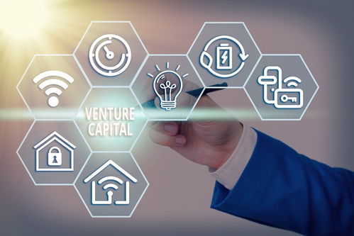 創投何以青睞山東